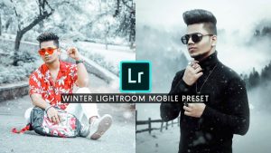 Winter Lightroom Preset Free Download