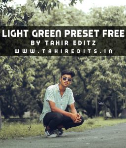 Light Green Tone Preset Free Download for Lightroom Mobile 2022