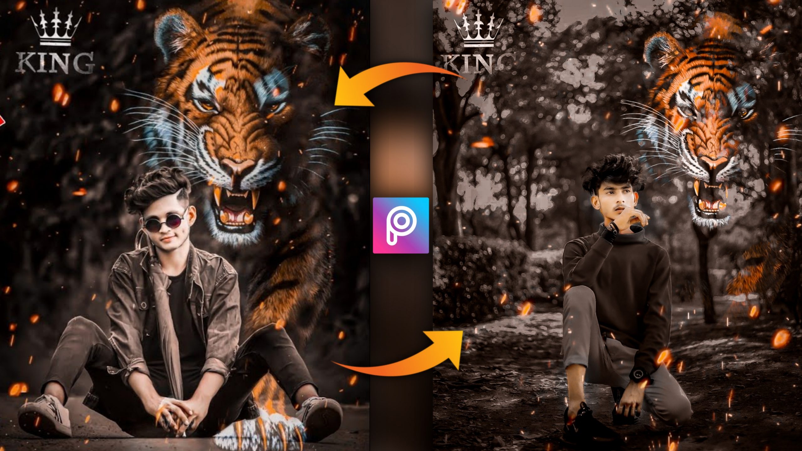 Picsart Tiger Photo Editing Download Backgroud And PNG Archives - Tahir  Editz